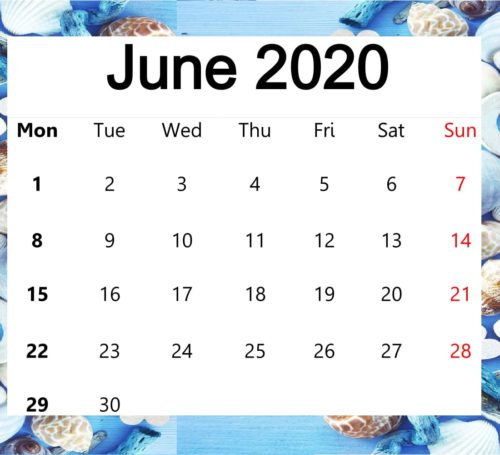 Cute June 2020 Calendar