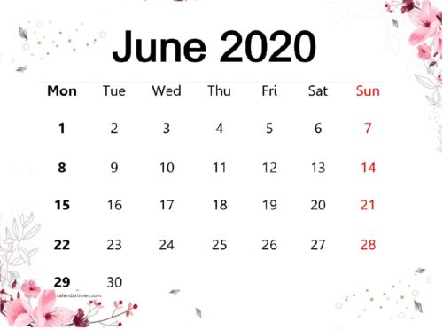 Cute June 2020 Calendar